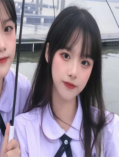 完美先生和差不多小姐越南语版主题思想深度解读：核心意义与社会价值分析